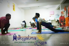 Yoga Therapy Camp for Diabetes